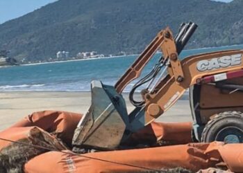 Prefeitura remove barreira de contenção marítima abandonada nas proximidades da Praia da Cocanha em Caraguatatuba