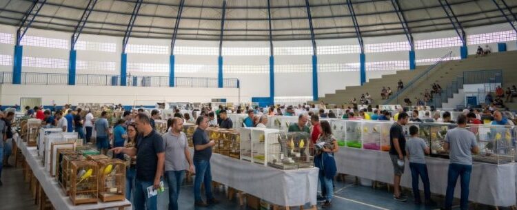 Coliseu do Perequê-Mirim recebe competição de canto de pássaros neste domingo