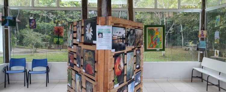 Parque do Juqueriquerê recebe exposição fotográfica “O vento levou” até 30 de novembro