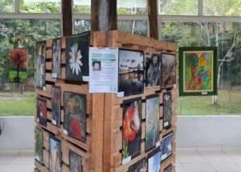 Parque do Juqueriquerê recebe exposição fotográfica “O vento levou” até 30 de novembro
