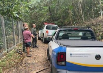 Prefeitura de Caraguatatuba intensifica fiscalização ambiental e emite 10 notificações na primeira quinzena de outubro